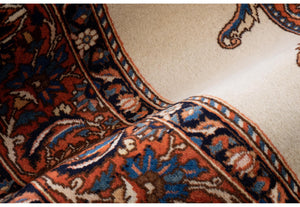 Tappeto Bakhtiari 209x301