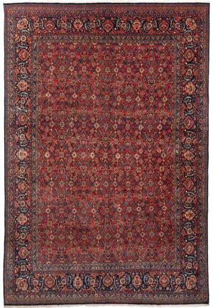 Tappeto Kashan 302x434
