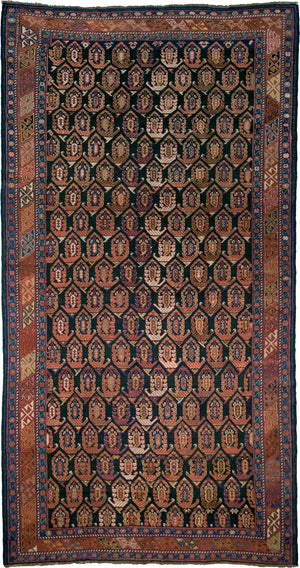 Tappeto Shirwan 146x275