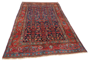 Tappeto Bigar 135x210