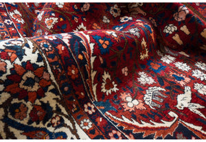 Tappeto Bakhtiari 313x424